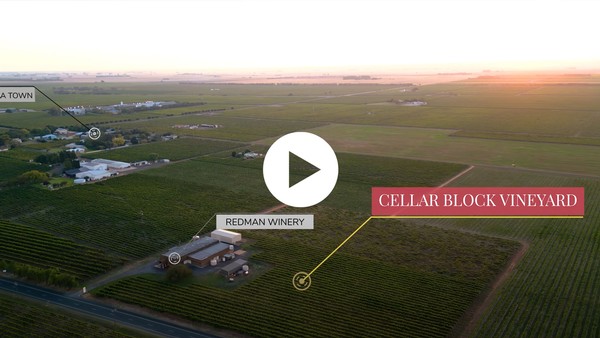 Redman Cellar Block Vineyard